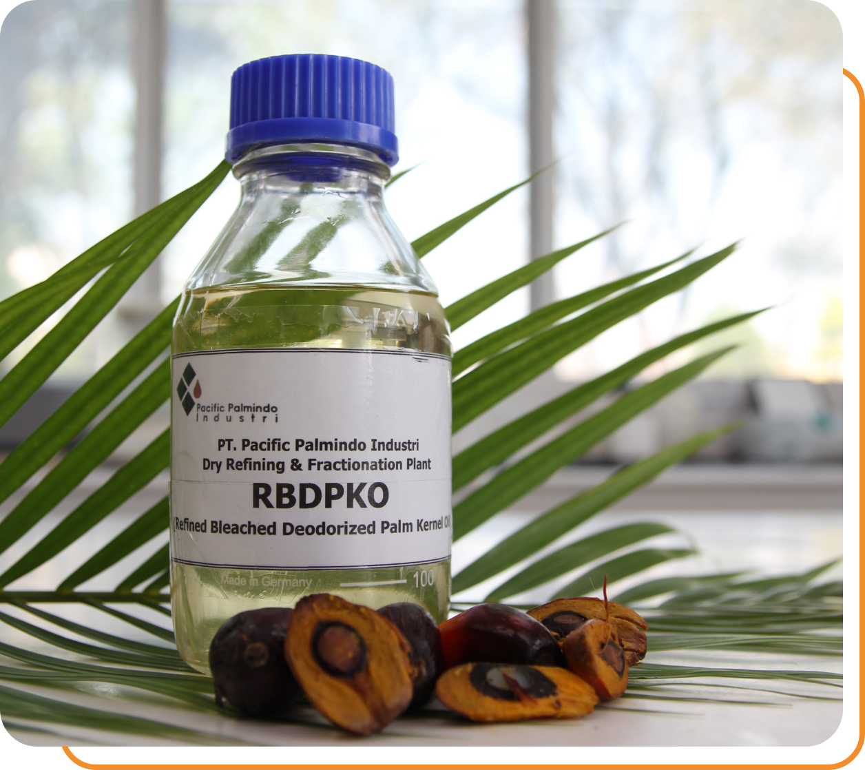Palm oil (refined) – Sapolita